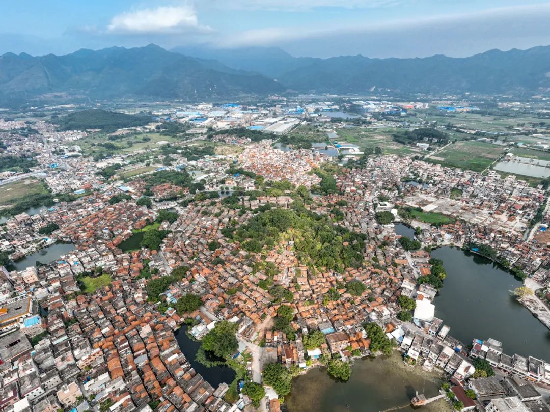 蚬岗镇.陈彦成 摄