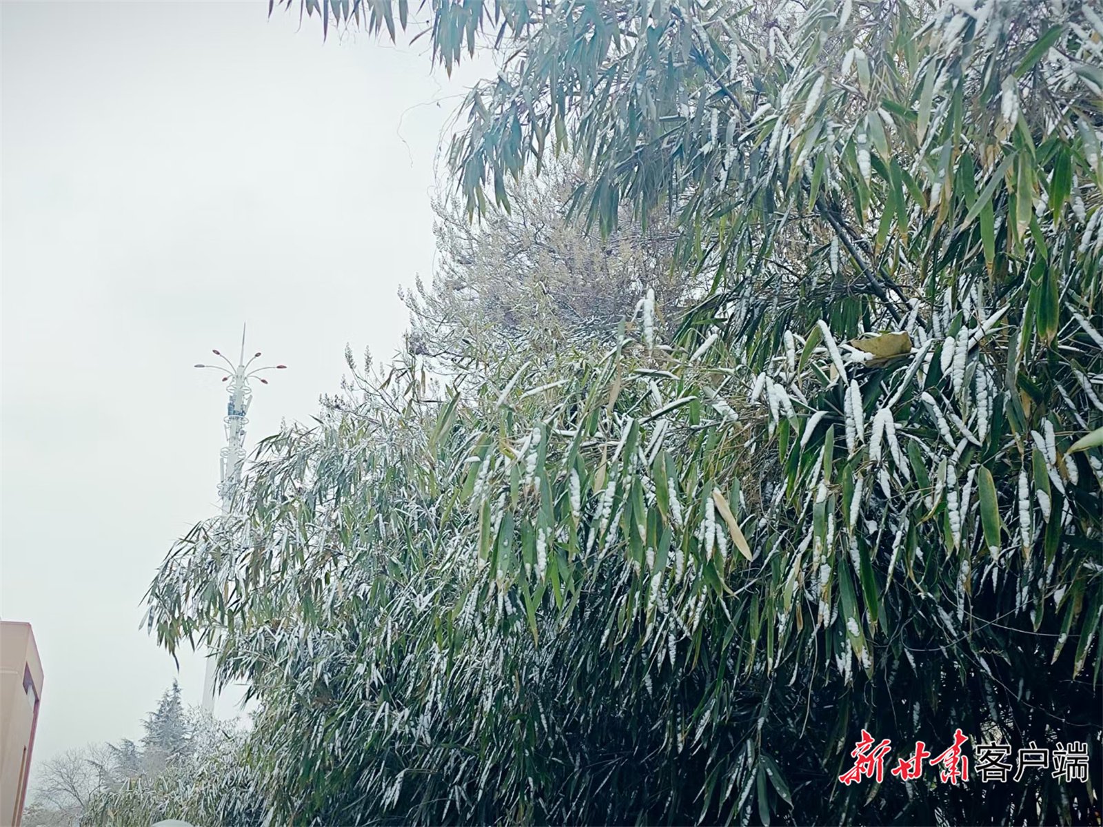 到今天8时,张掖,武威,兰州,定西,白银,平凉,庆阳等市局部地方出现小雪