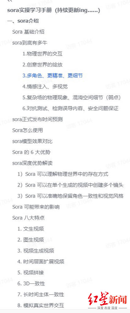 ▲付费sora实操学习手册目录