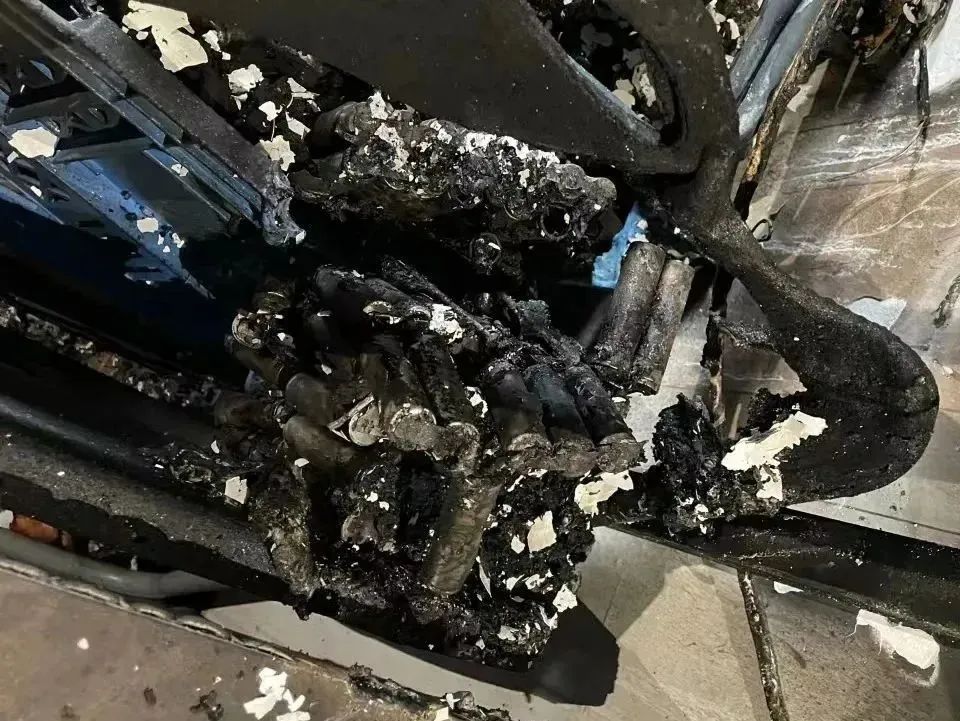 中国工程院院士杨裕生:电动车应使用更安全的铅电池