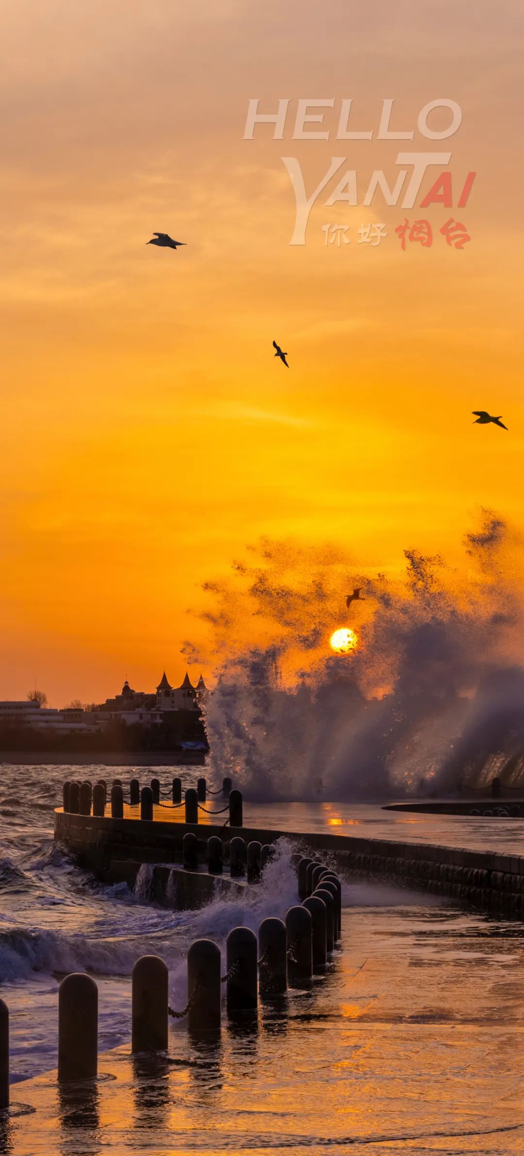 【你好烟台】_新浪财经_新浪网