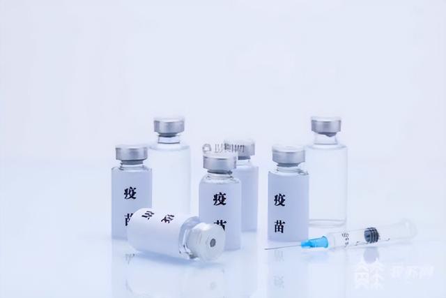 孩子感冒发烧错过疫苗接种?补种攻略请收好