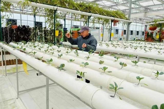 2024年如东县人口_江苏南通三大县:如东县、如皋市、海安市未来发展方向来了(2)