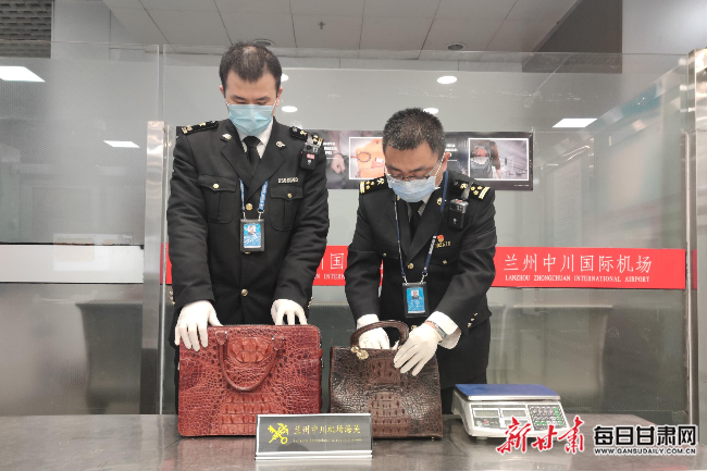 中川机场海关查获濒危鳄鱼皮制品|海关_新浪财经_新浪网
