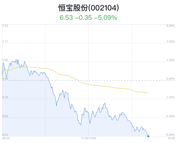 恒宝股份盘中大跌5.09% 主力净流出1898万元_新浪财经_新浪网