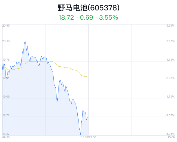 野马电池盘中大跌5.15% 主力净流出475万元_新浪财经_新浪网