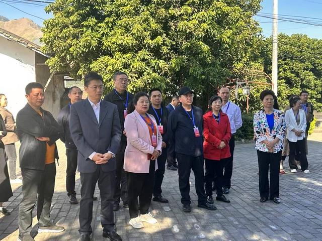 全国人大代表王永兰:建议破除攀西地区交通瓶颈,支持米易创建国家级