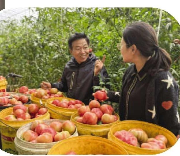 宿州市泗县:建设和美乡村 描绘振兴画卷_新浪财经_新浪网