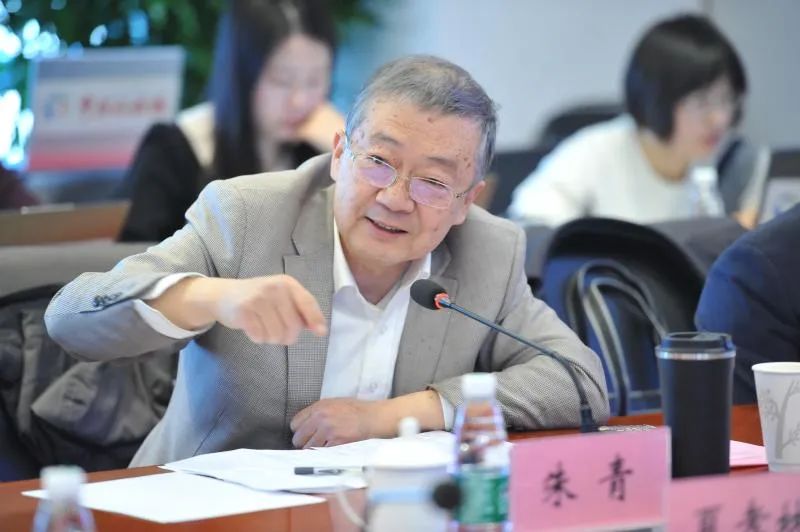 朱青谈支柱二落地:道路曲折,前景可期|经济合作与发展组织|税收|避税|规则|税率_手机新浪网