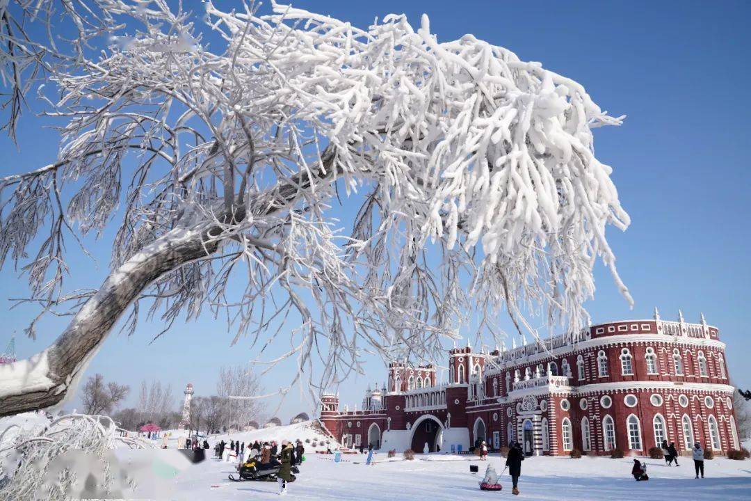1月7日，游客在伏尔加庄园游玩。新华社记者 王建威 摄