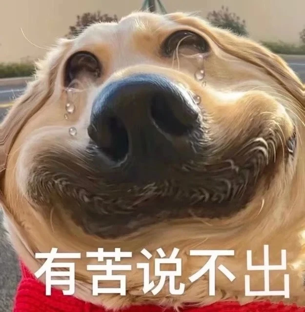 图片来源:网络表情包