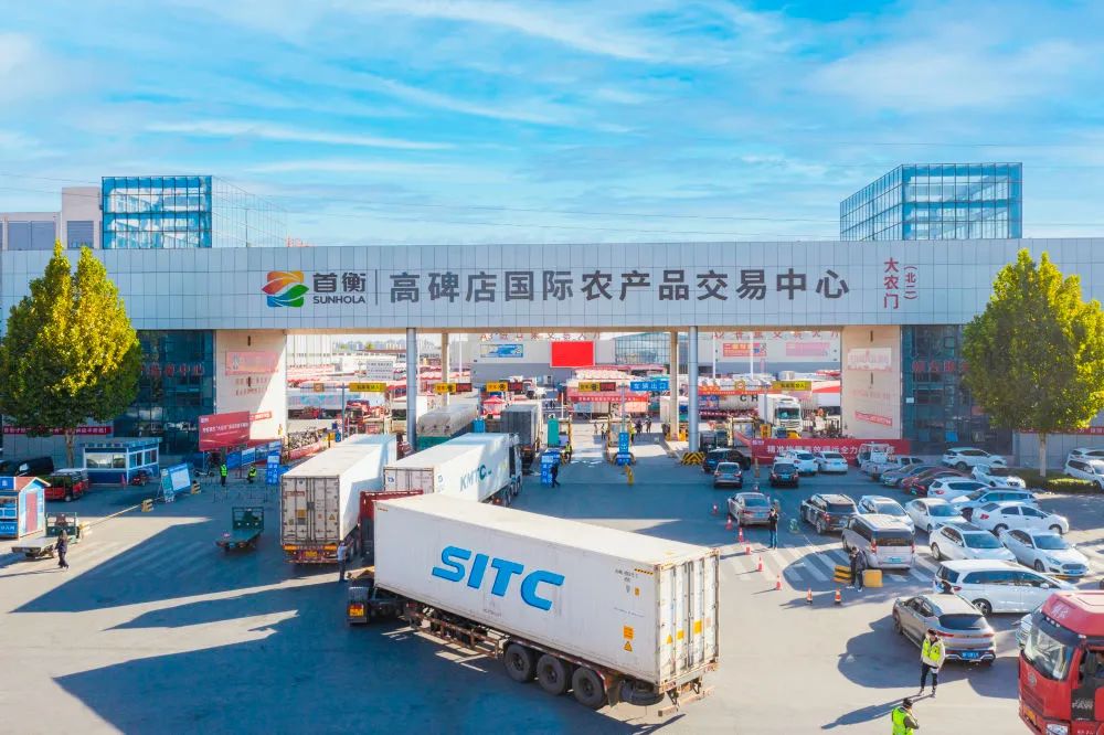 沐川魔芋“变形记”（尝尝我国新特产）