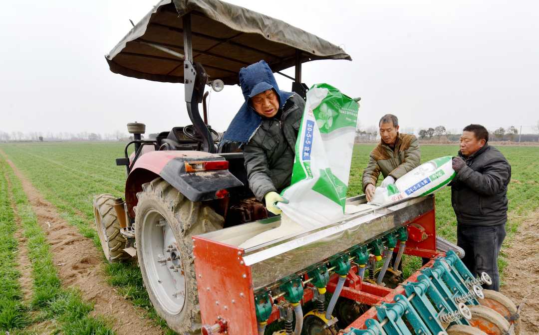 河南洛阳孟津区:春耕春管忙|洛阳市_新浪财经_新浪网
