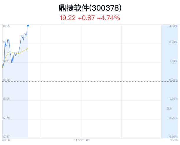 鼎捷软件盘中大涨5.01% 主力净流入1450万元_新浪财经_新浪网