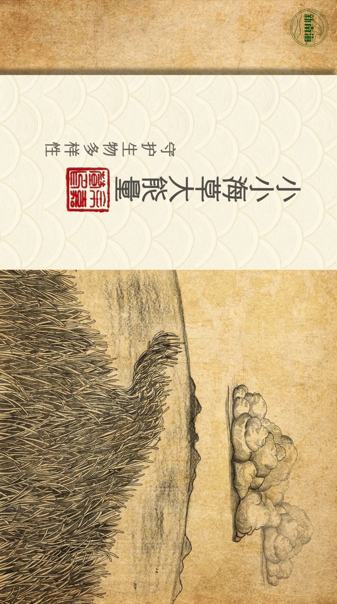 世界海草日 | 守护生物多样性之小小海草大能量_新浪财经_新浪网