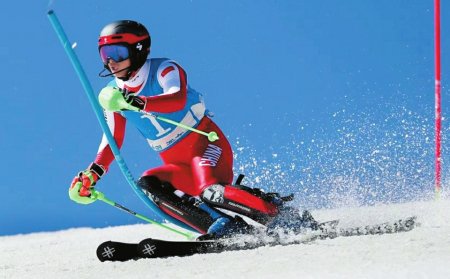 近日,随着第十四届全国冬季运动会的开展,观众不仅密切关注着各项冰雪