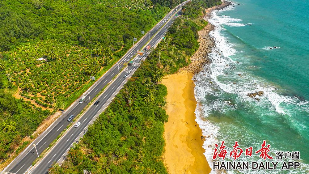 航拍海南环岛旅游公路陵水段.海南日报记者 张茂 摄
