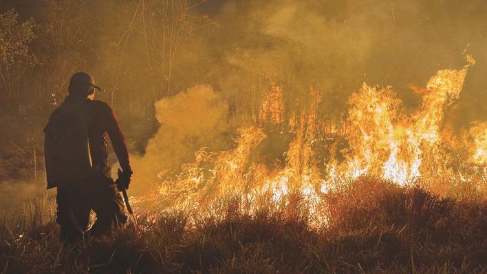 亚马孙地区森林火灾频发|巴西_新浪财经_新浪网