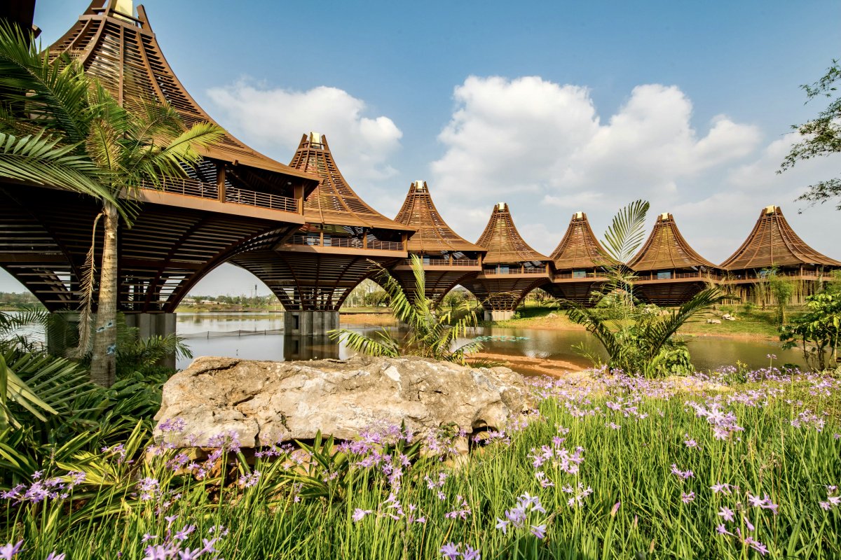 市民唐凤琴喜欢摄影,经常背着摄影器材穿梭在南宁园博园园区里.