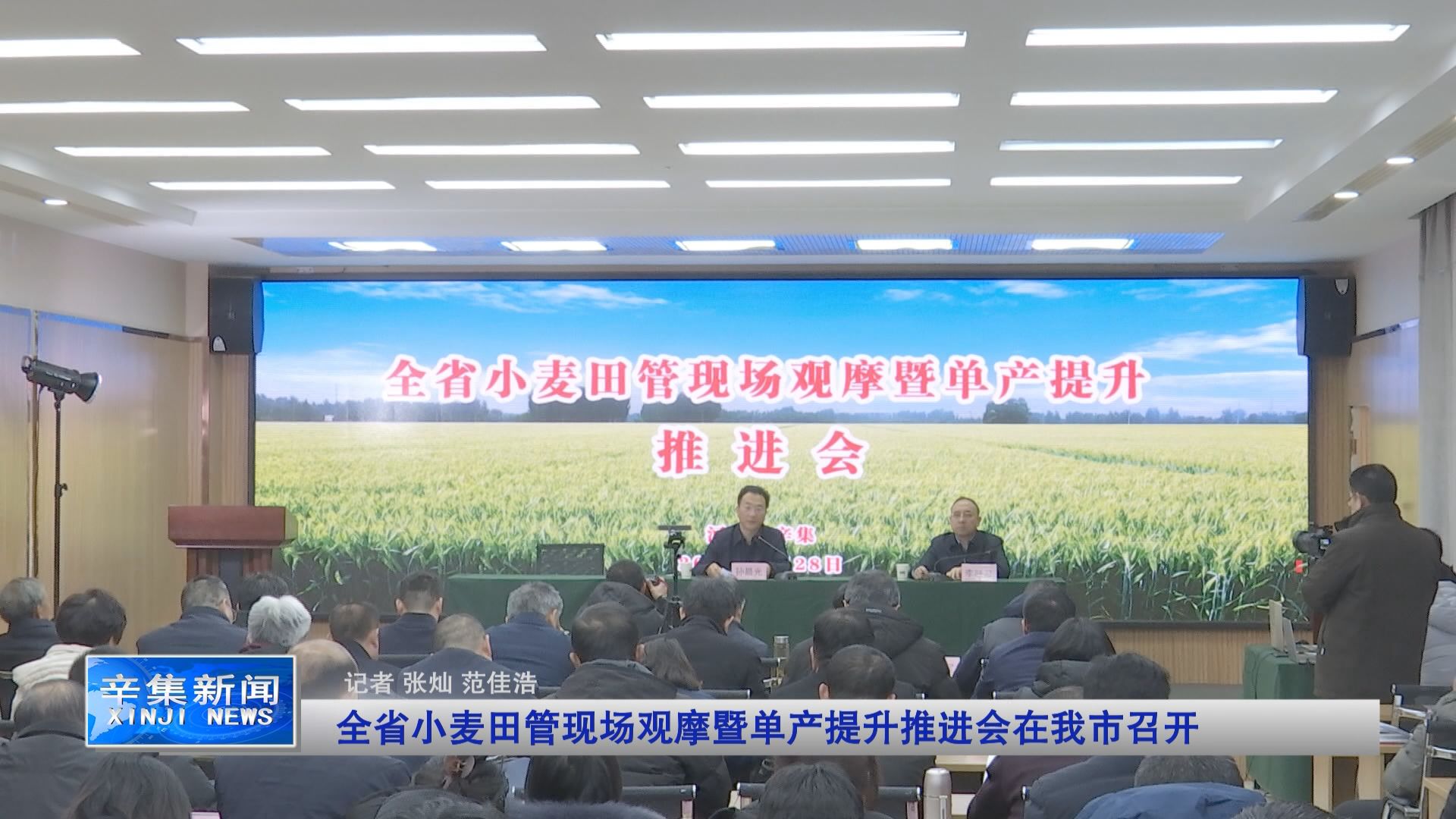 【乡村行 看振兴】全省小麦田管现场观摩暨单产提升推进会在辛集市