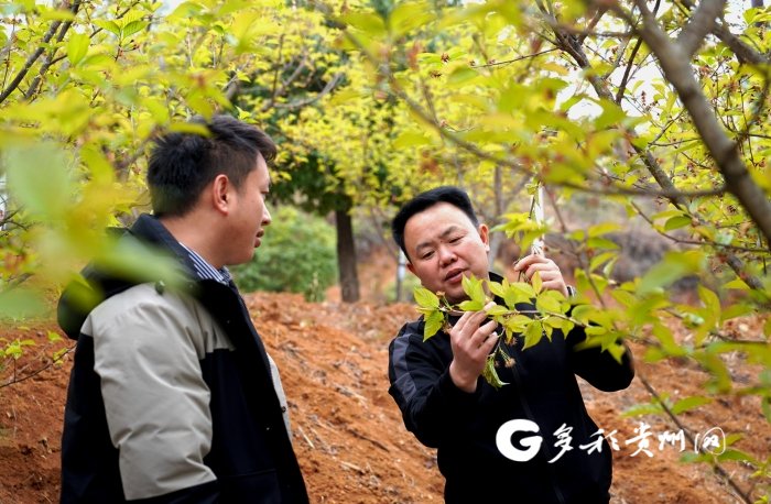 【聚焦全国两会·请回答,2023】全国人大代表肖军:围