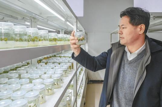 十年十记 瓣瓣同心 | 一条潮白河,三地荡清波|河北省_新浪财经_新浪网