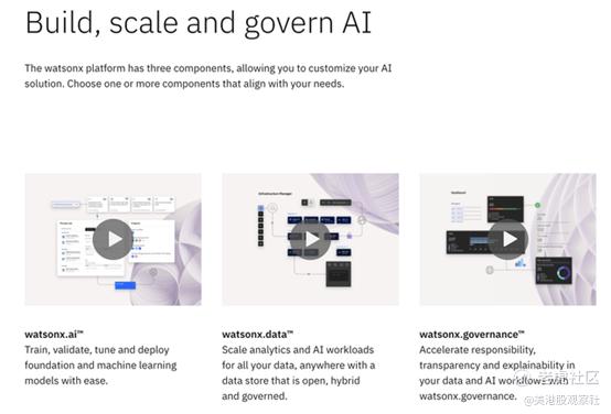 来源：IBM watsonx