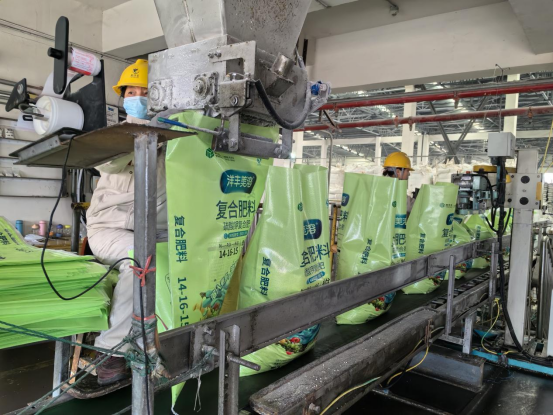 　　新洋丰硫酸钾复合肥厂内，工人们正将生产线上新鲜生产的化肥装袋、封口。