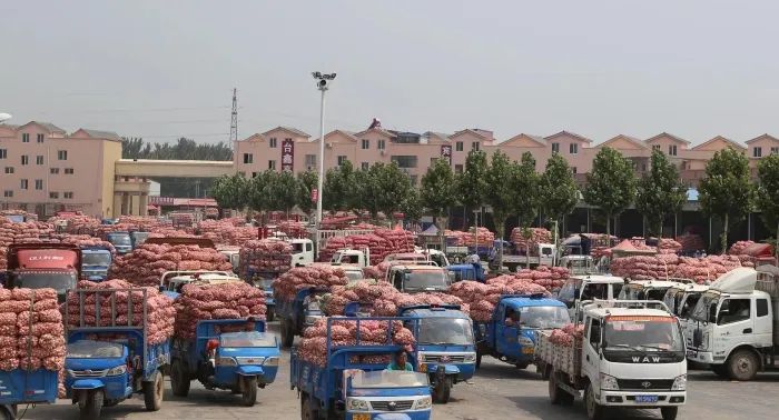 以实干作风推动高质量发展不断取得新成效—67—访杞县县委书记