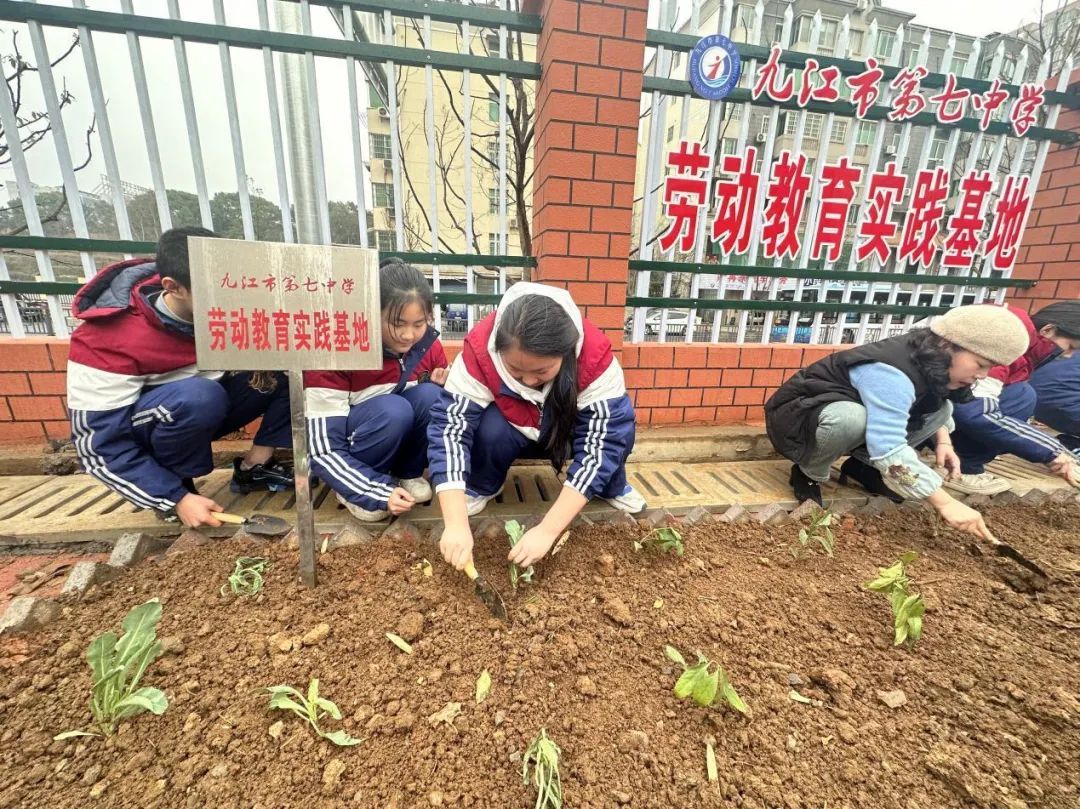 九江七中开展种植中草药劳动实践教育活动|九江市_新浪财经_新浪网