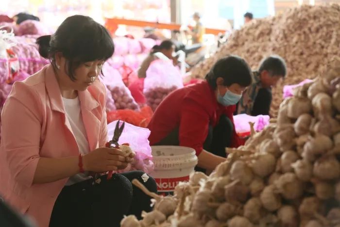 以实干作风推动高质量发展不断取得新成效—67—访杞县县委书记