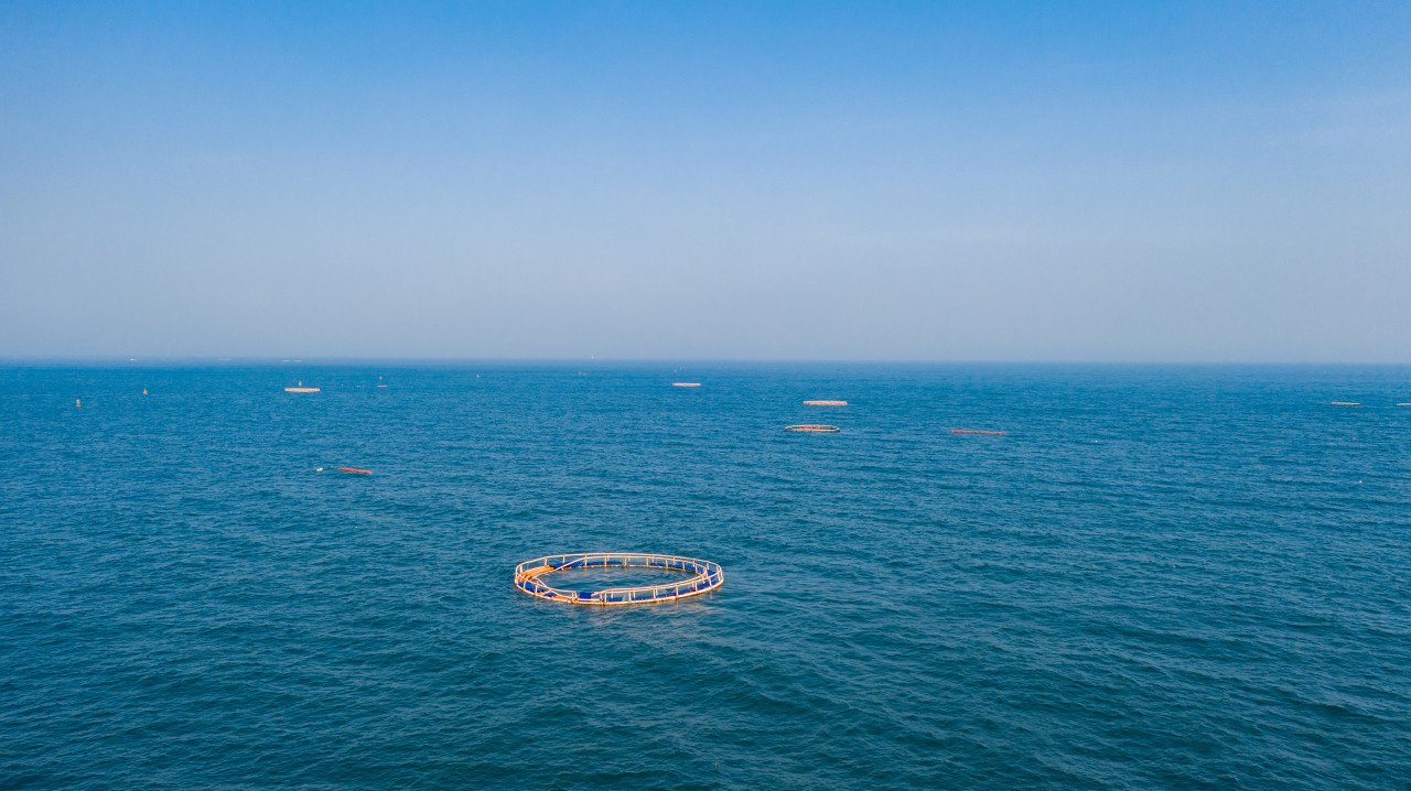 大海中的海洋牧场 图源:图虫创意