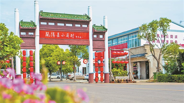 村与村的对话·乡村振兴,我们这样干|安徽小岗村:再迎农业发展新春天