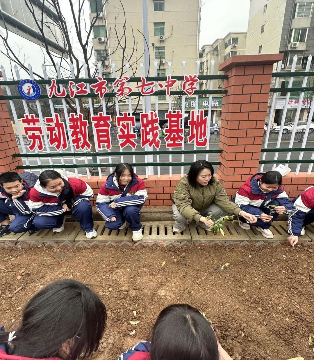 九江七中开展种植中草药劳动实践教育活动|九江市_新浪财经_新浪网