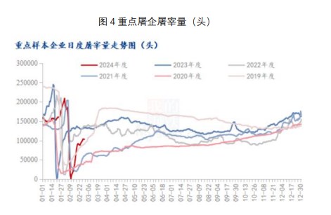 关联品种生猪玉米所属公司：财达期货