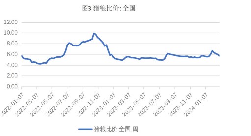 关联品种生猪玉米所属公司：财达期货