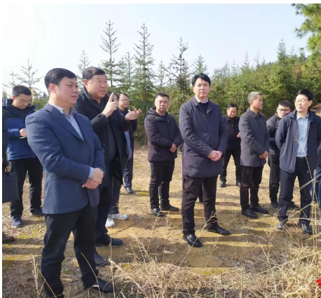 3月2日,湖北省嘉鱼县委书记王永率县直有关单位及乡镇主要负责人和