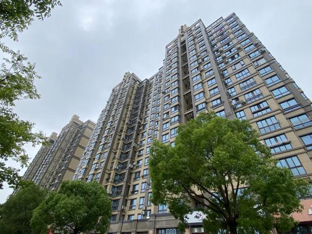 金海街道:不断创造丰富,多彩,高品质的宜居生活丨奋力一跳开新局