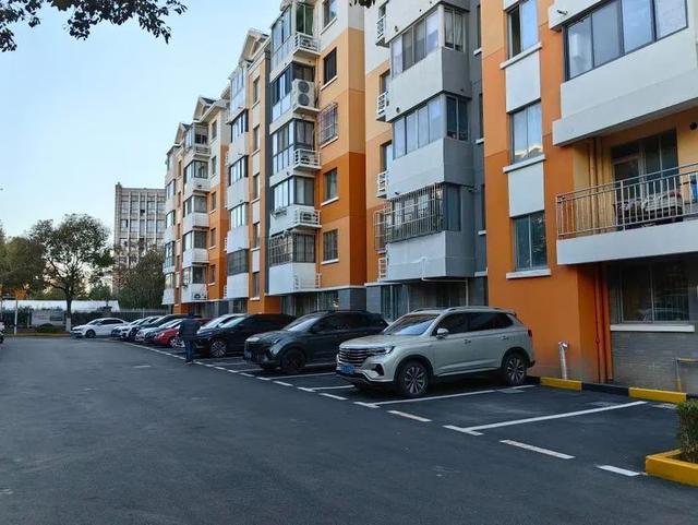 金海街道:不断创造丰富,多彩,高品质的宜居生活丨奋力一跳开新局