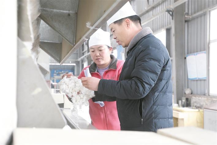 "苑"践初心 "静"待花开|棉花_新浪财经_新浪网