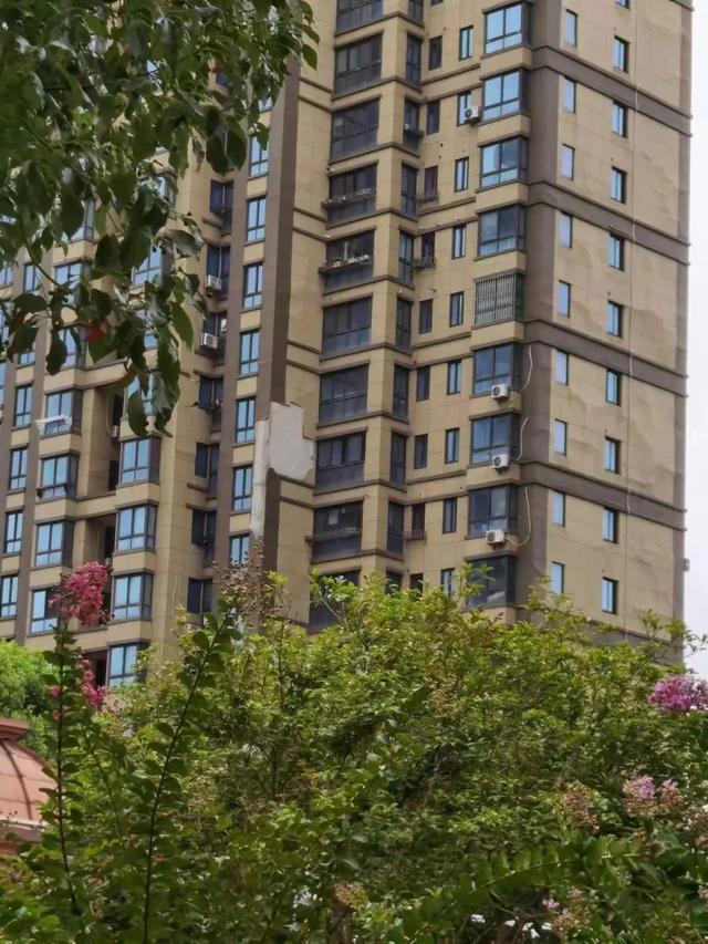 金海街道:不断创造丰富,多彩,高品质的宜居生活丨奋力一跳开新局