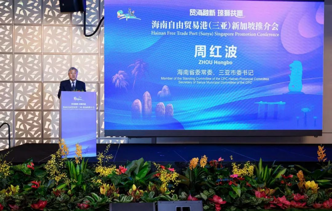 海南自由贸易港(三亚)新加坡推介会上,海南省委常委,三亚市委书记