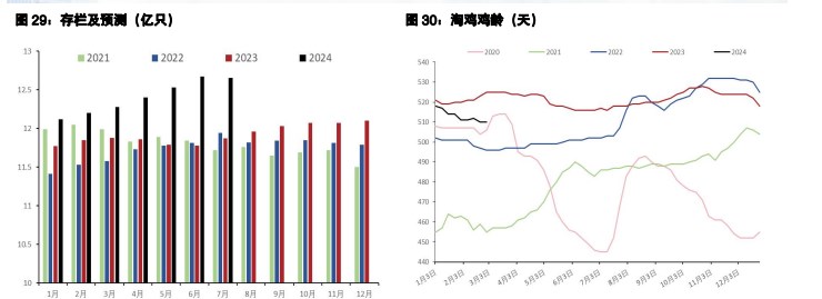 关联品种生猪所属公司：五矿期货