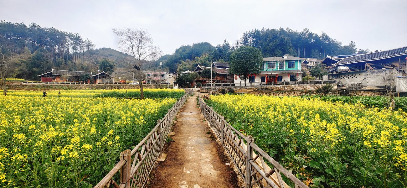 【两会时光】石阡困牛山村:立足红色文化资源 推动乡村全面振兴