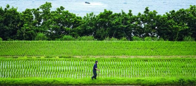 离开城市,走入“旷野”的年轻人_新浪财经_新浪网