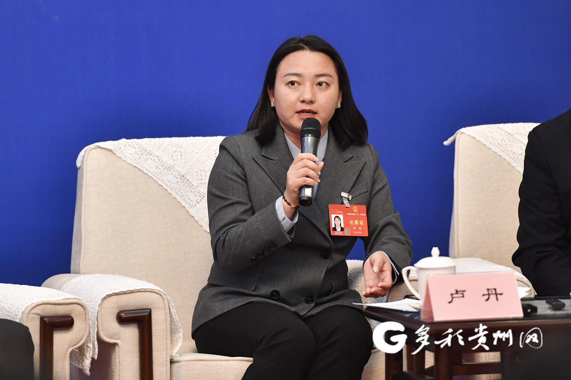 全国人大代表,安顺市镇宁县六马镇致富村党支部书记,村委会主 任卢丹