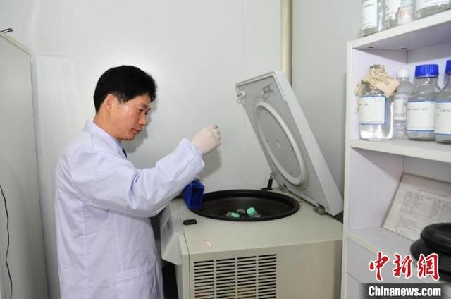 生物检测服务：精准医疗时代的守护者
