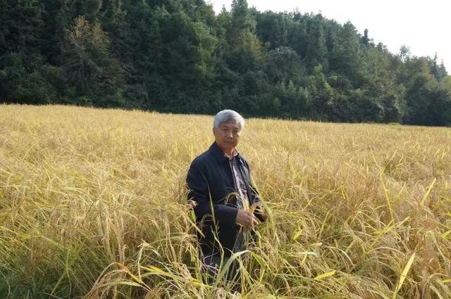 全国政协委员闵庆文:陕西朱鹮保护区应申报全球重要农业