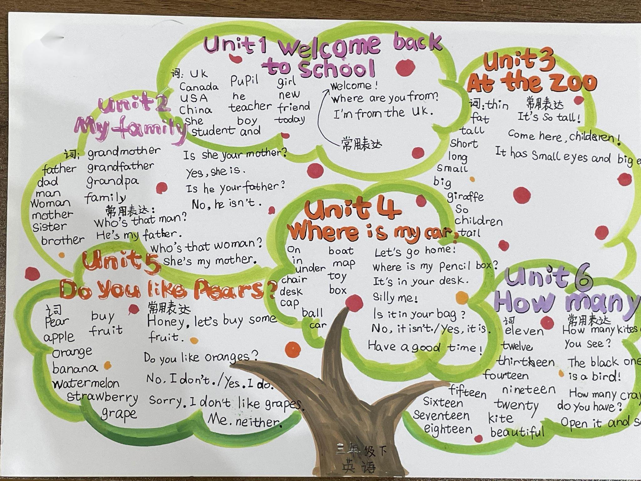 通过思维导图的形式学会单词,句子的分类归纳