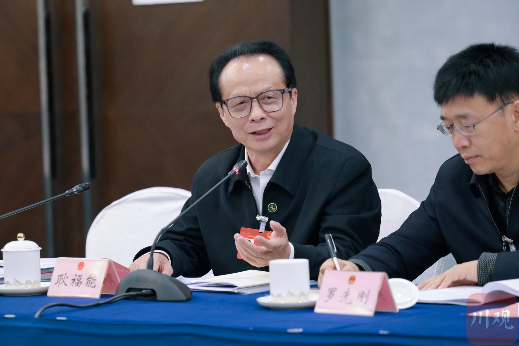 镜观两会丨议国是话民生,四川代表团代表踊跃发言|四川省_新浪财经_新